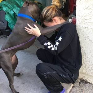 Meet your Posher, Sydney